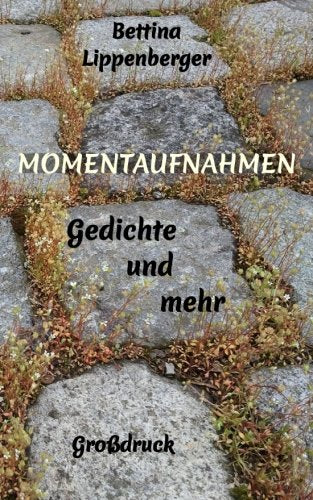 Momentaufnahmen Gedichte und mehr Poetry