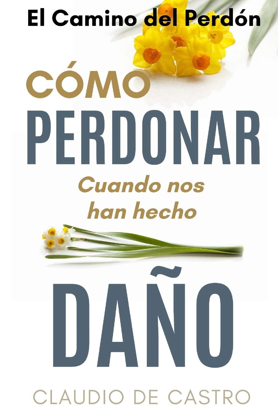 El Camino del Perdón - Edición de Oro: Cómo PERDONAR cuando nos hacen daño (Libros TESTIMONIOS de auto -ayuda y espiritualidad) Business, Finance & Career