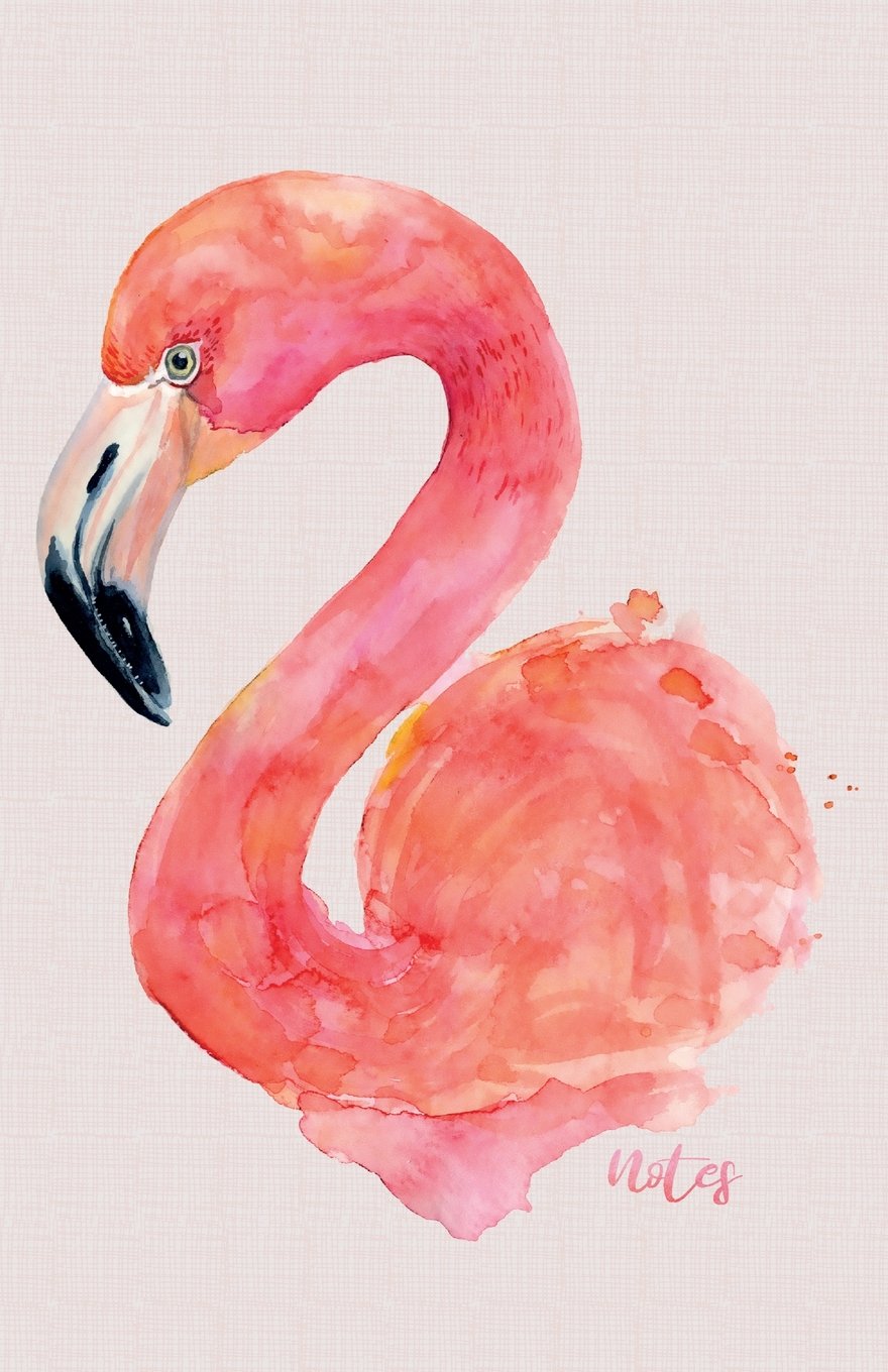 Notes: Watercolour Flamingo Notebook 100+ Lined Pages A5 Ruled Journal Pink Composition Book for Writing and Journalling (Flamingo Notebooks, Band 1) Media & Communication