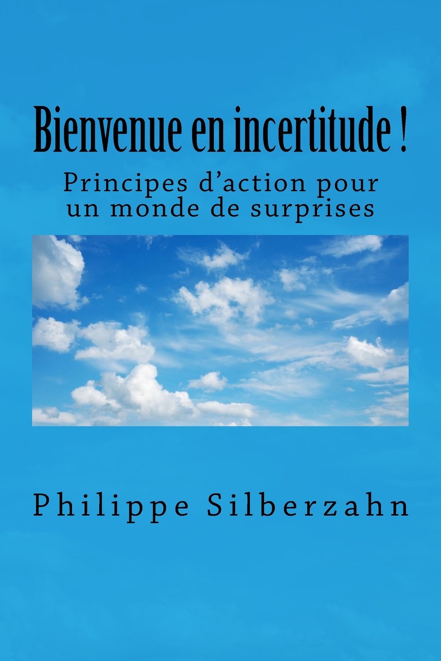 Bienvenue en incertitude!: Principes d’action pour un monde de surprises book