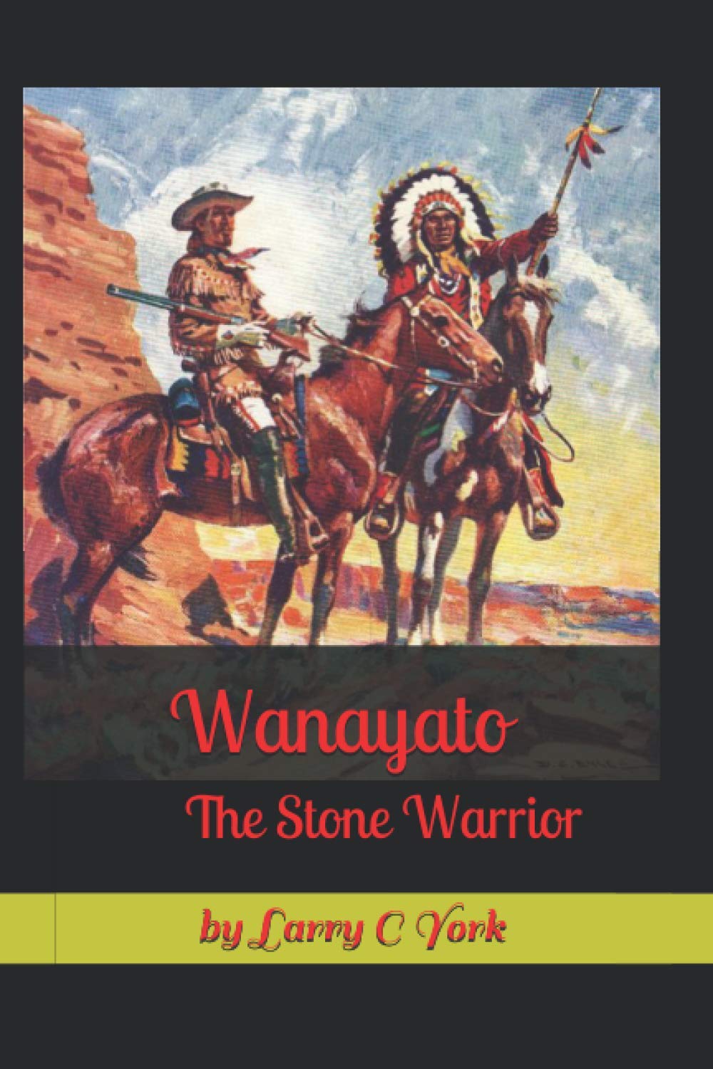 Wanayato: The Stone Warrior (Wanayato The Long Way nHome, Band 1) Contemporary literature