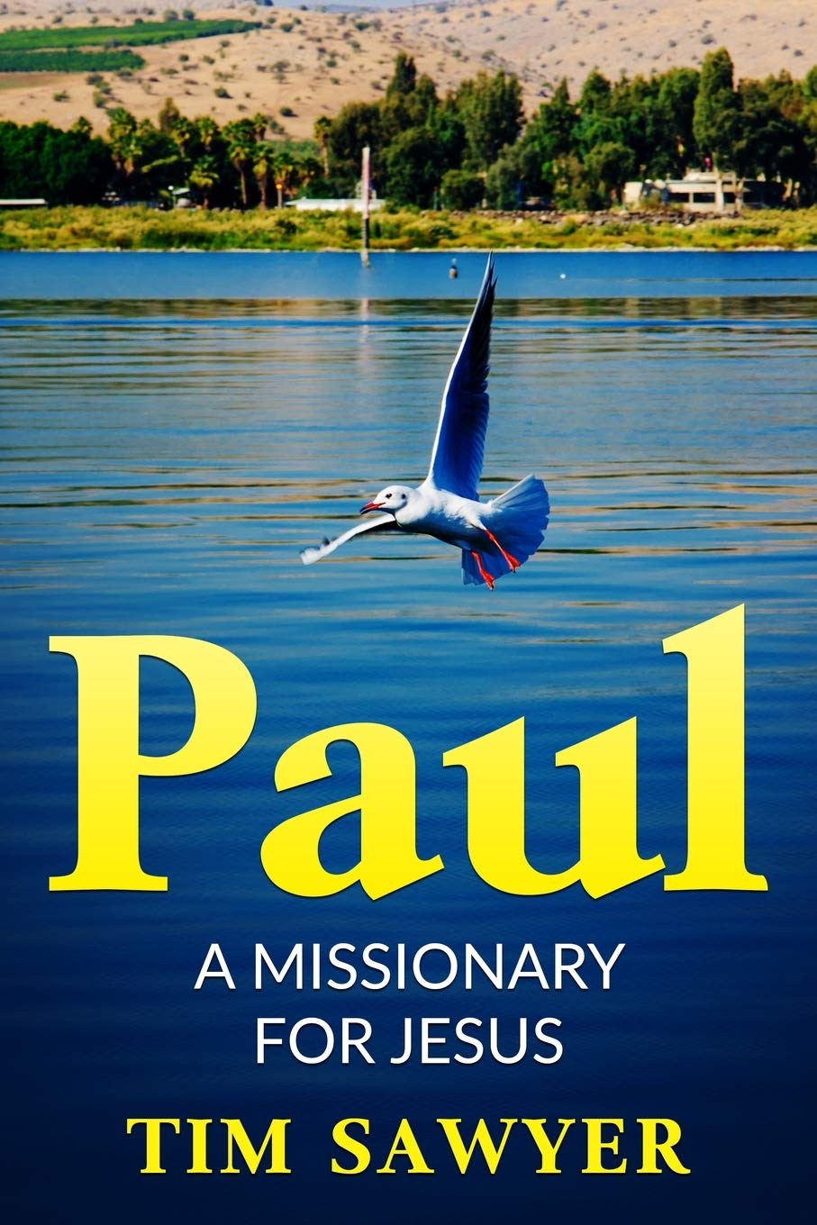 Paul: A missionary for Jesus (Biblical Characters, Band 2) Social Sciences