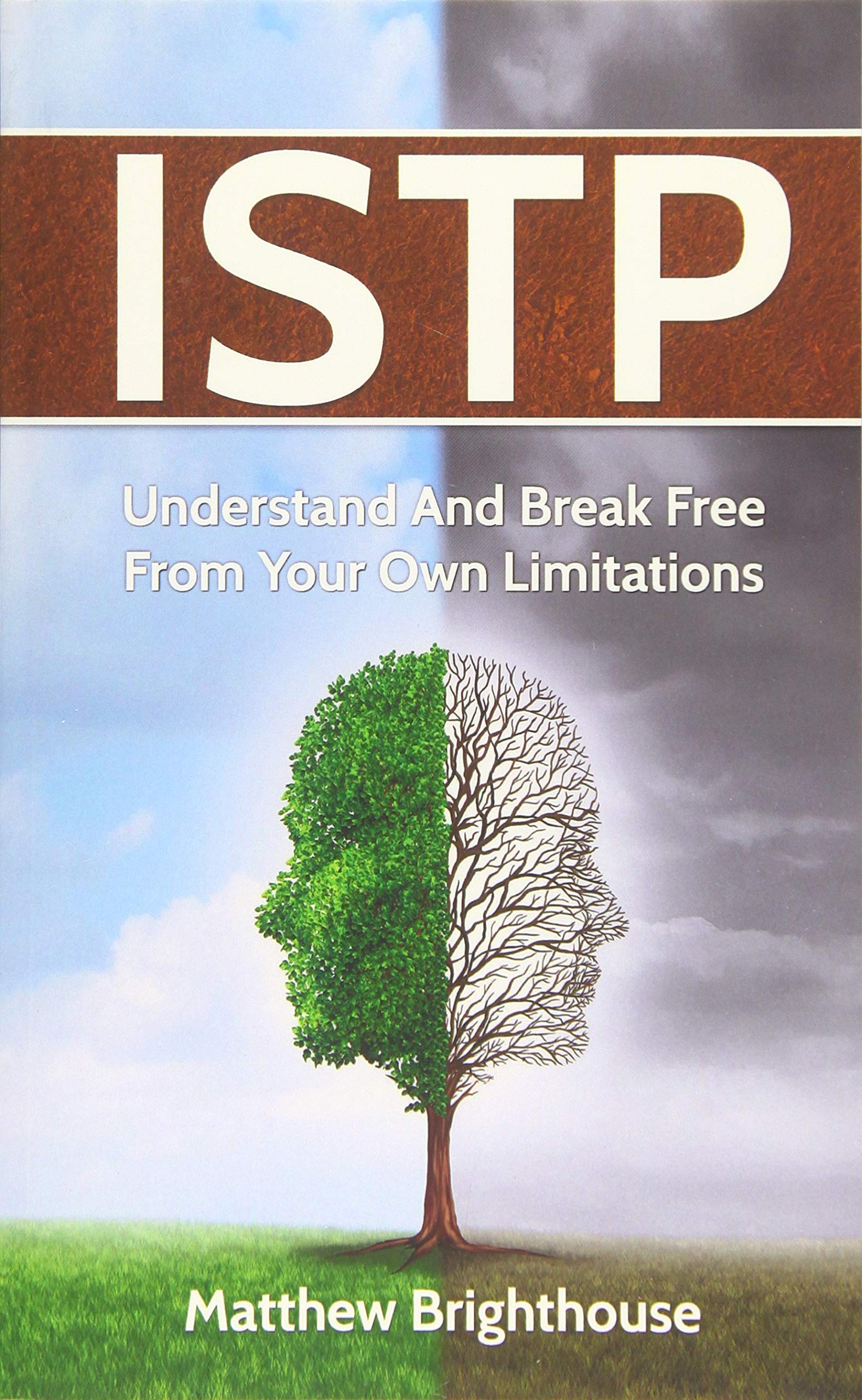 ISTP: Understand And Break Free From Your Own Limitations Lifestyle