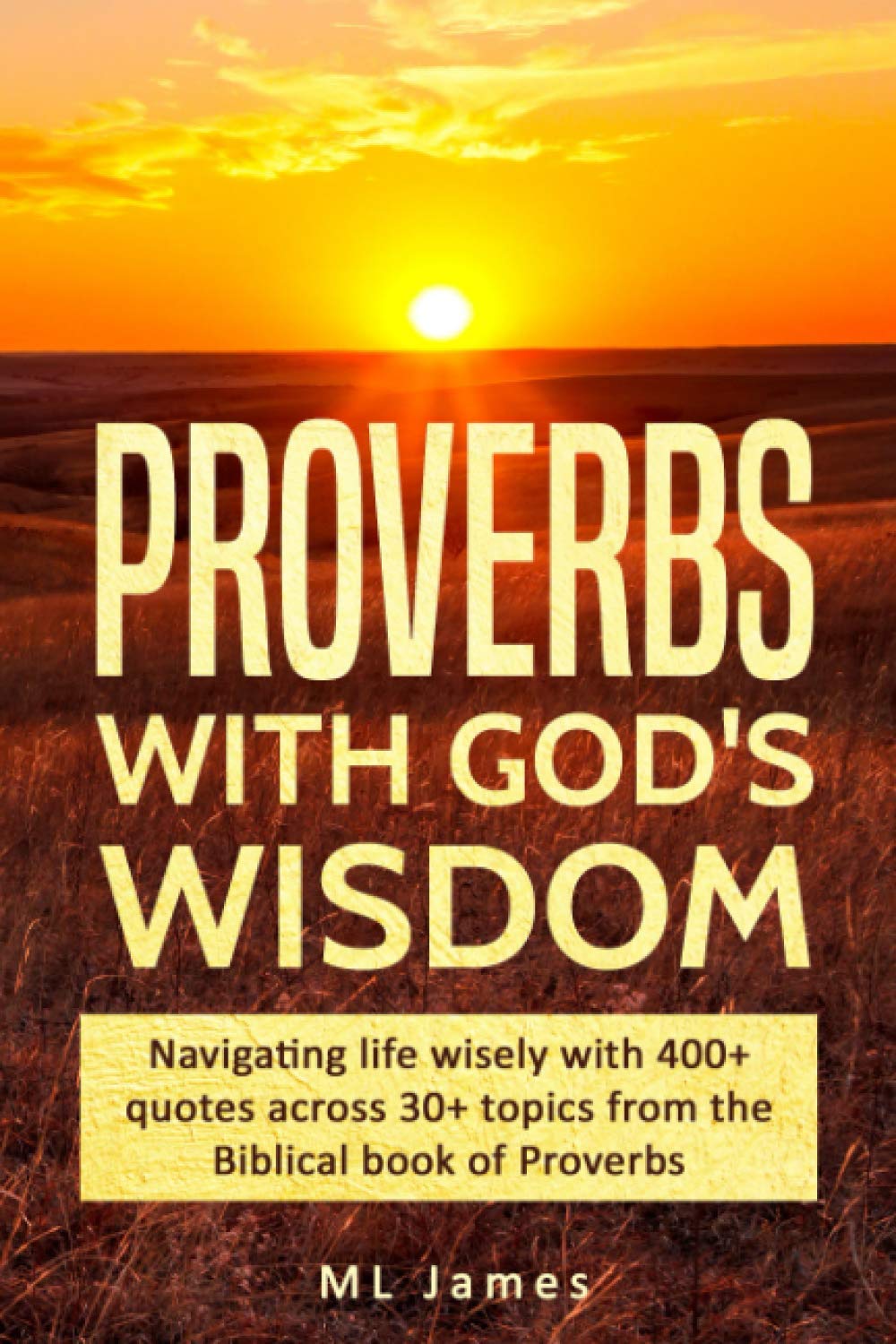 Proverbs with God's Wisdom: Navigating life wisely with 400+ quotes across 30+ topics from the Biblical book of Proverbs book