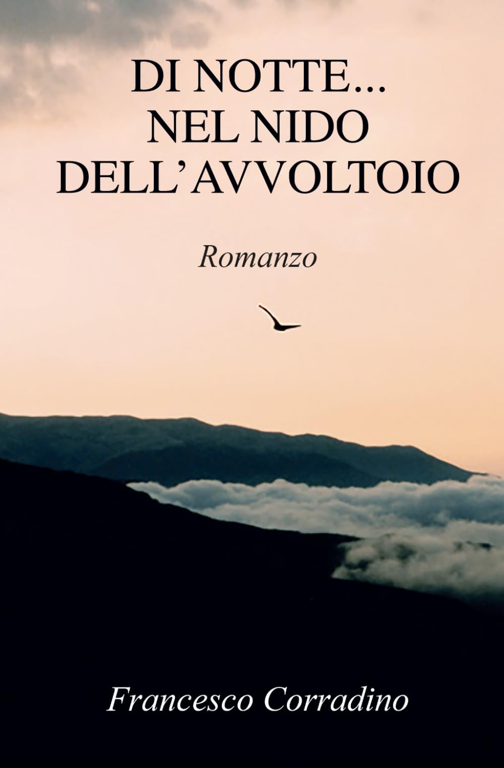DI NOTTE... NEL NIDO DELL'AVVOLTOIO Action & Adventure