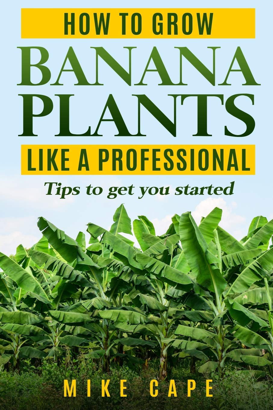 How to grow Banana Plants like a Professional: Beginner’s guide and tips to get you started Garden & Plants