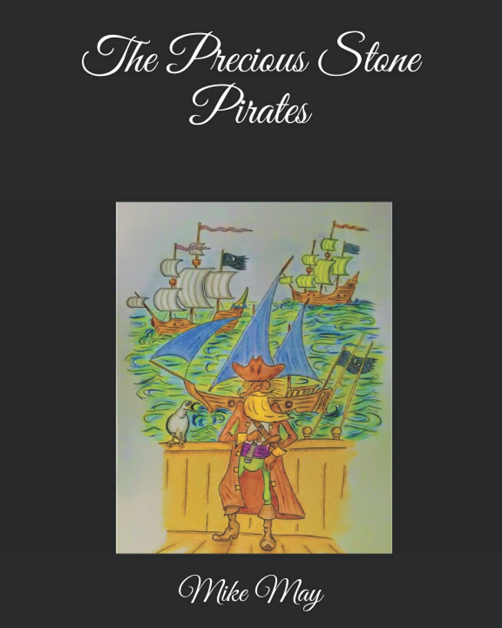 The Precious Stone Pirates Non-fiction books for kids