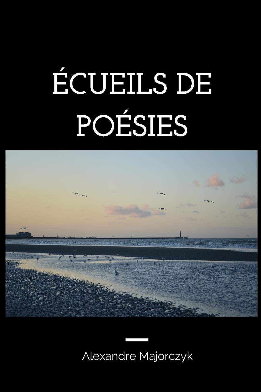 Écueils de poésies (Collection complète de poésie) Poetry