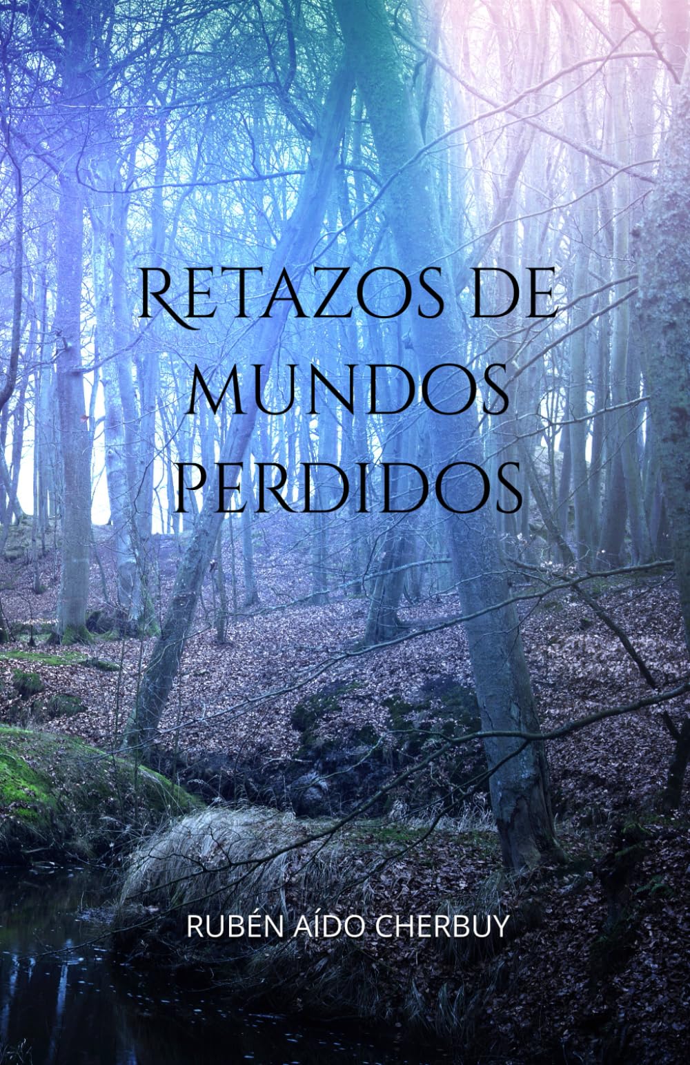 Retazos de mundos perdidos book