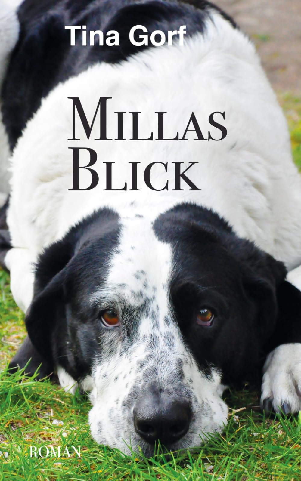 Millas Blick: Aus dem Leben eines Dalmasenns, der keine kleine Kuh war Drama
