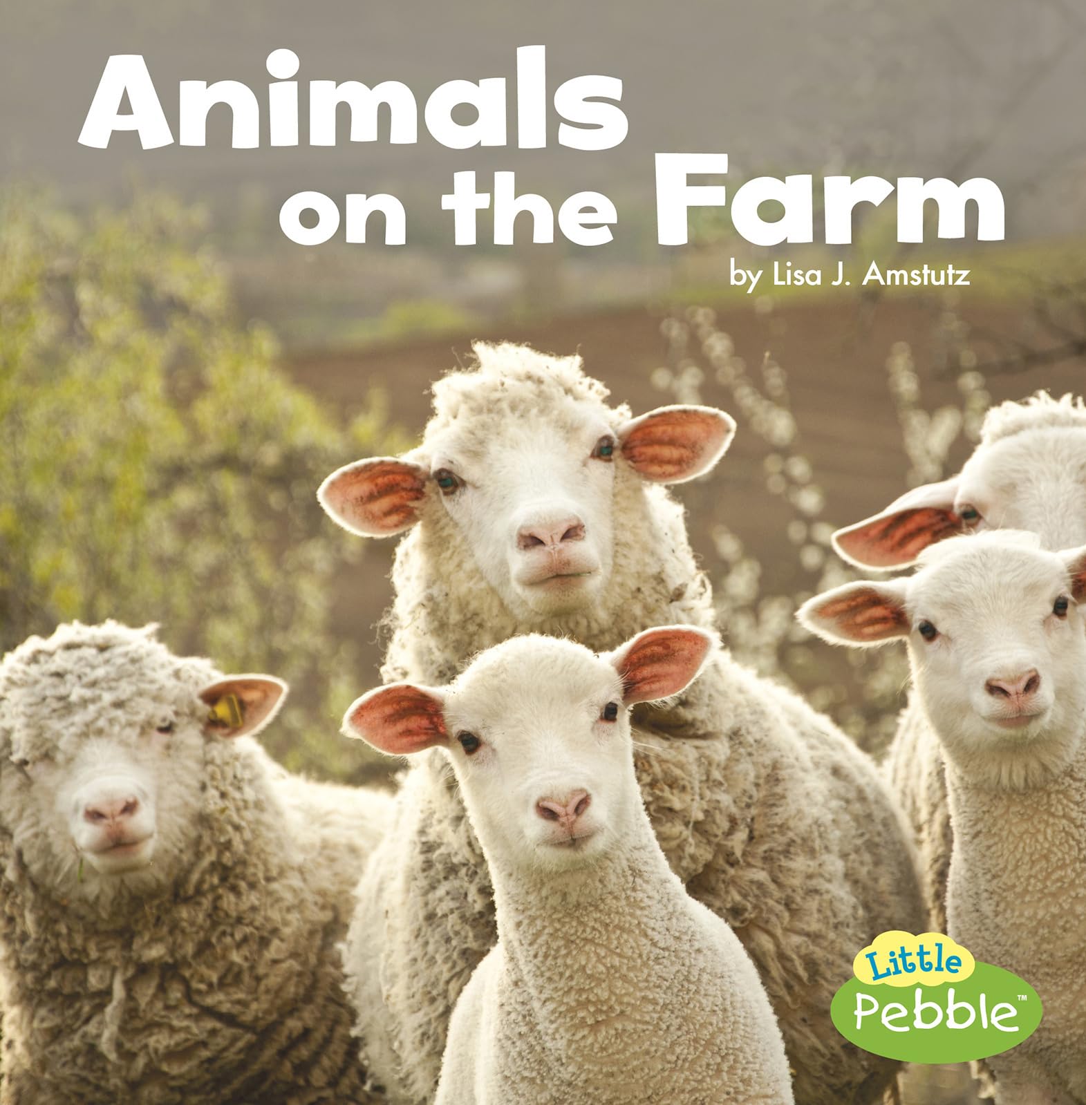 Animals on the Farm (Farm Facts) Non-fiction