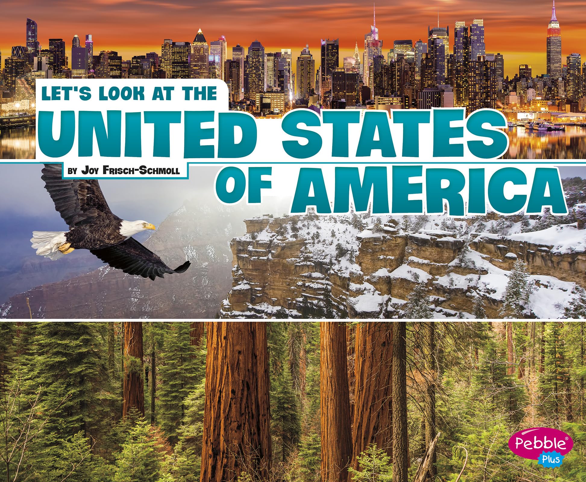 Let's Look at the United States of America (Let's Look at Countries) Politics & History