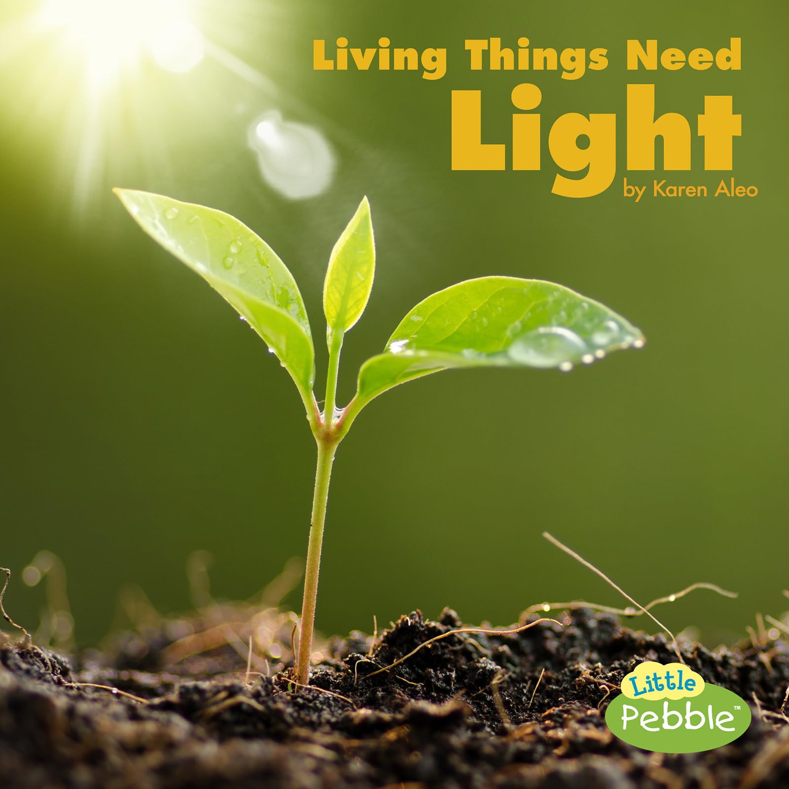 Living Things Need Light (What Living Things Need) Non-fiction