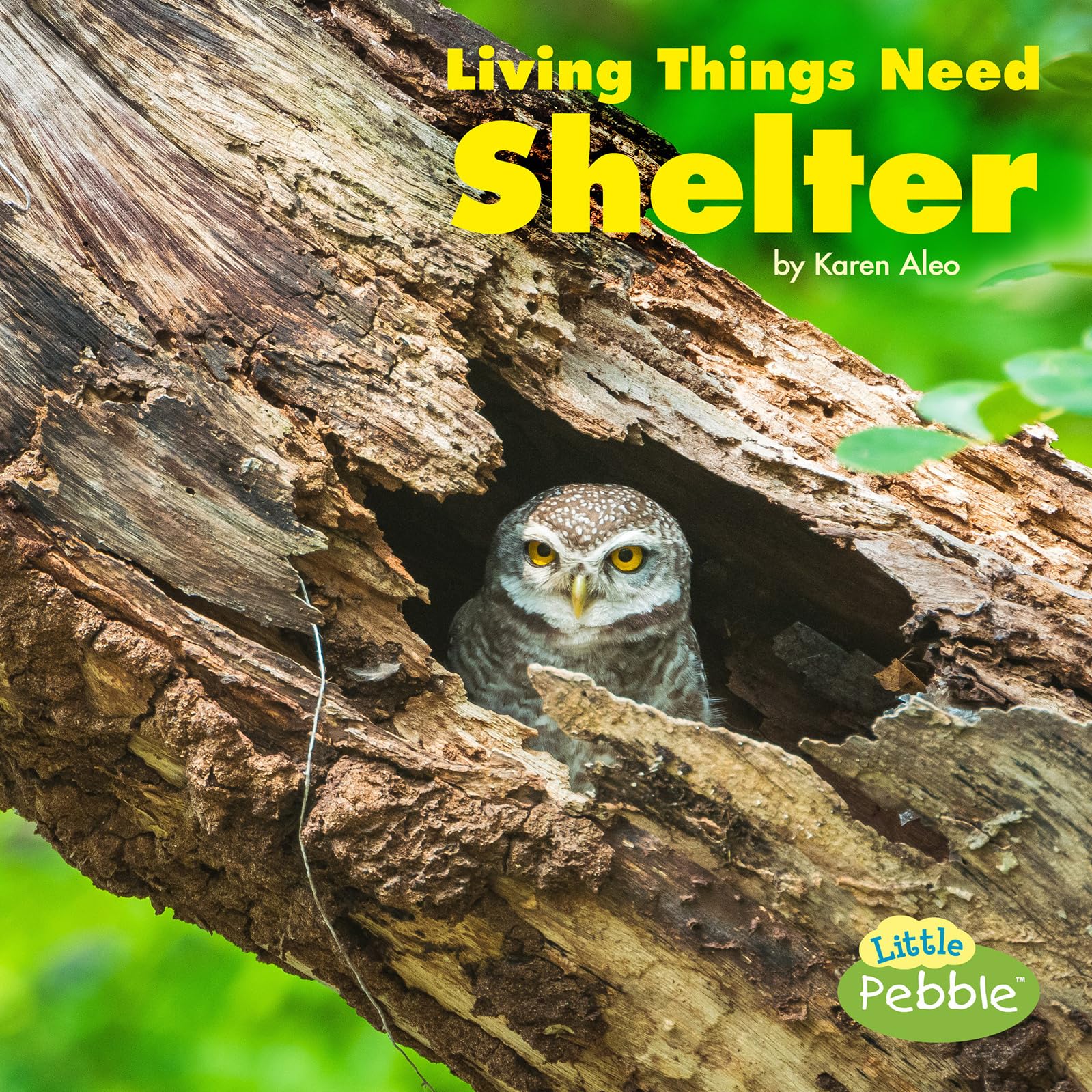 Living Things Need Shelter (What Living Things Need) Non-fiction