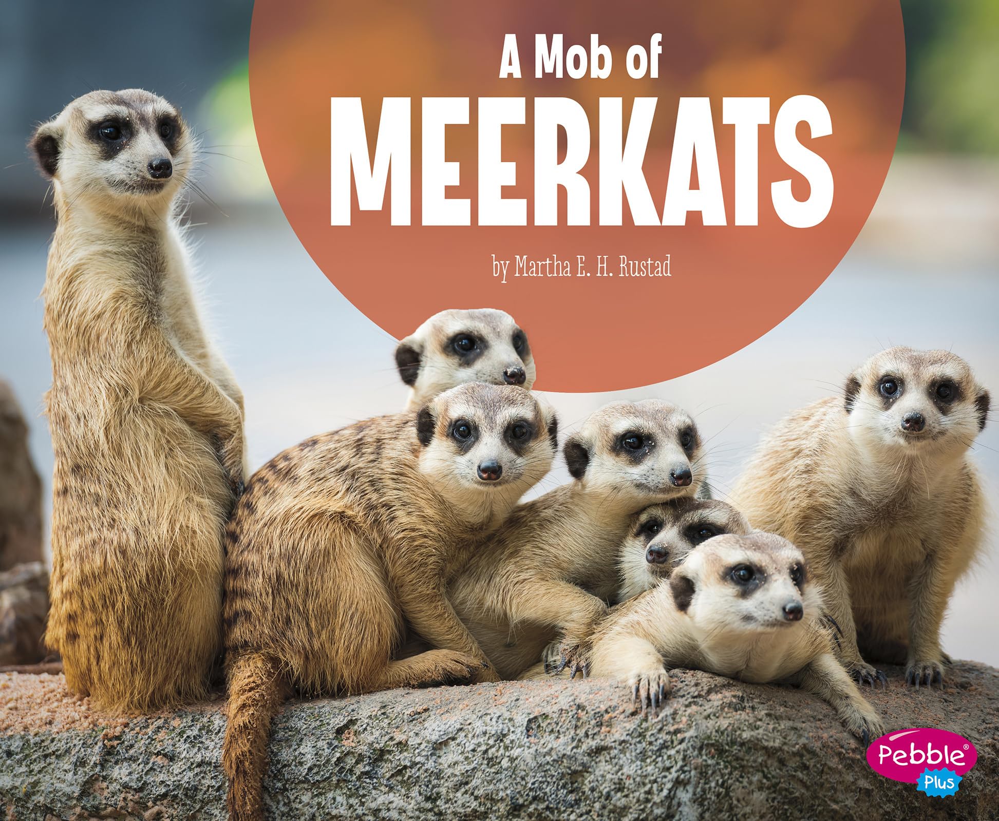 A Mob of Meerkats (Animal Groups) Non-fiction