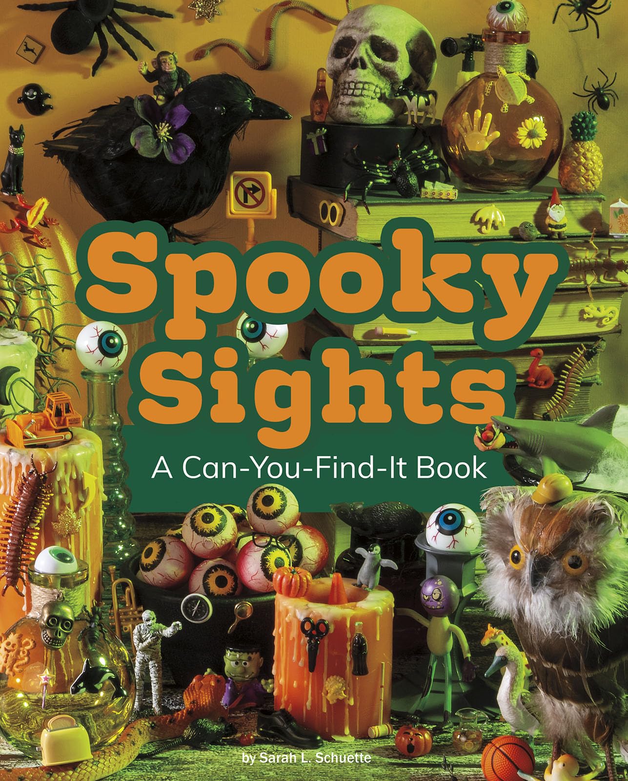 Spooky Sights: A Can-You-Find-It Book Non-fiction