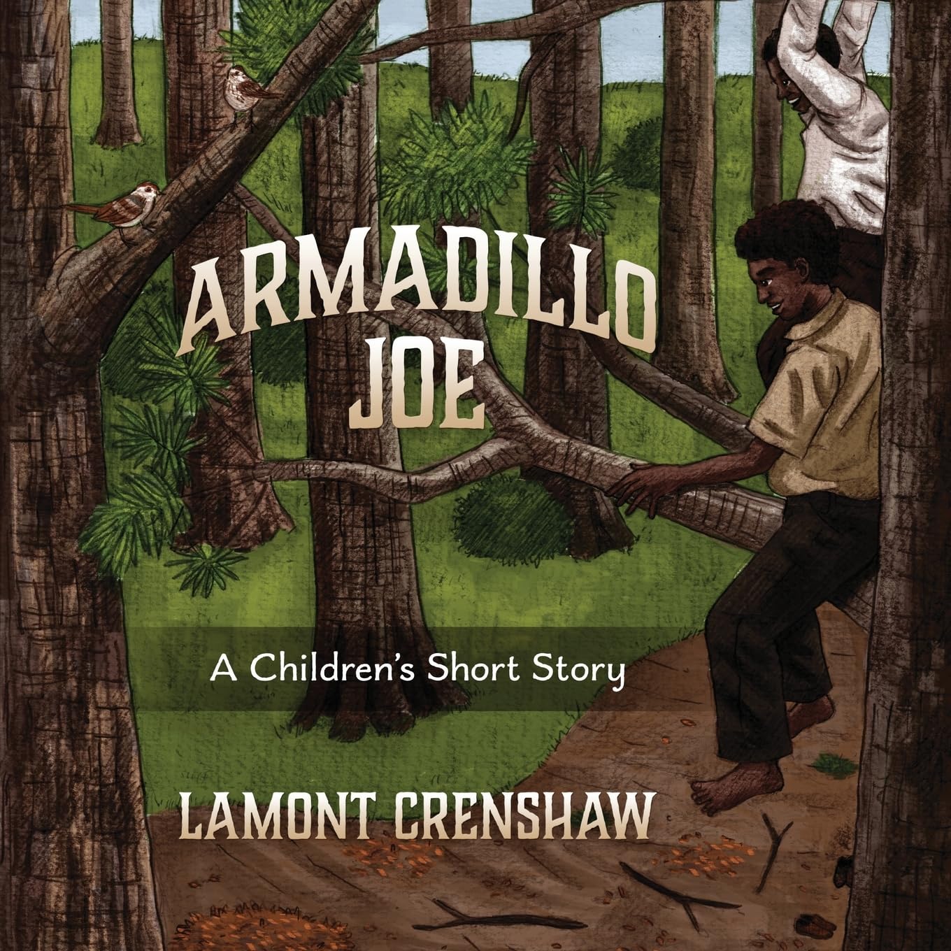 Armadillo Joe: A Children's Short Story Non-fiction