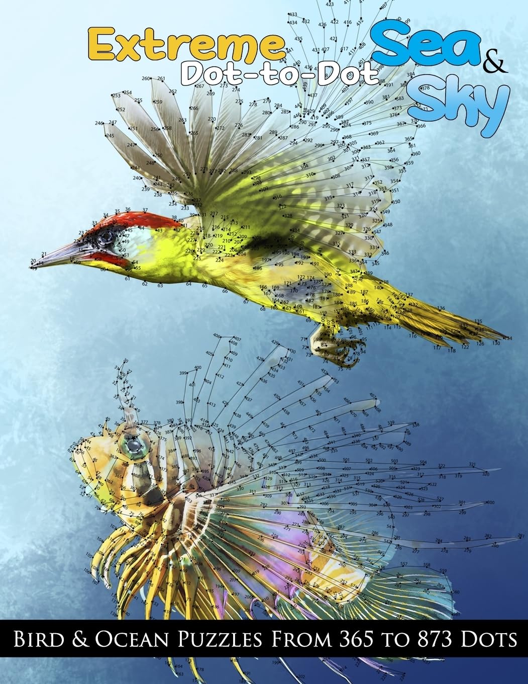 Extreme Dot-to-Dot Sea & Sky Bird & Ocean Puzzles from 365 to 873 Dots (Dot to Dot Books For Adults, Band 11) Leisure & Fun