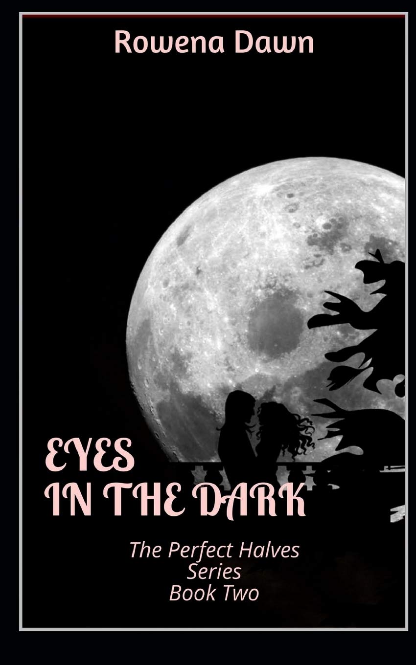 Eyes in the Dark (The Perfect Halves Series, Band 2) Romantic Thrillers