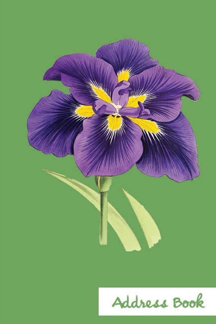Address Book.: Glossy And Soft Cover, Large Print, Font, 6" x 9" For Contacts, Addresses, Phone Numbers, Emails, Birthday And More. (Address Book Flower Edition.) Books