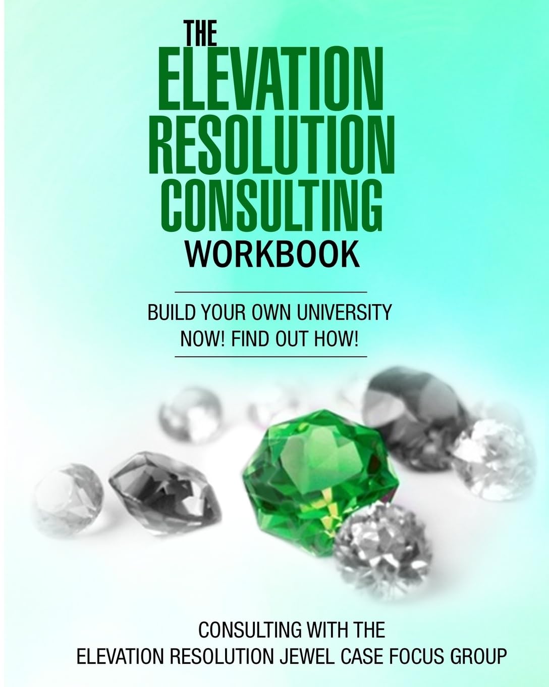 The Elevation Resolution Consultant Workbook: Build your university now! find out how! (Sapphire Jewel Case Focus Group, Band 1) Books