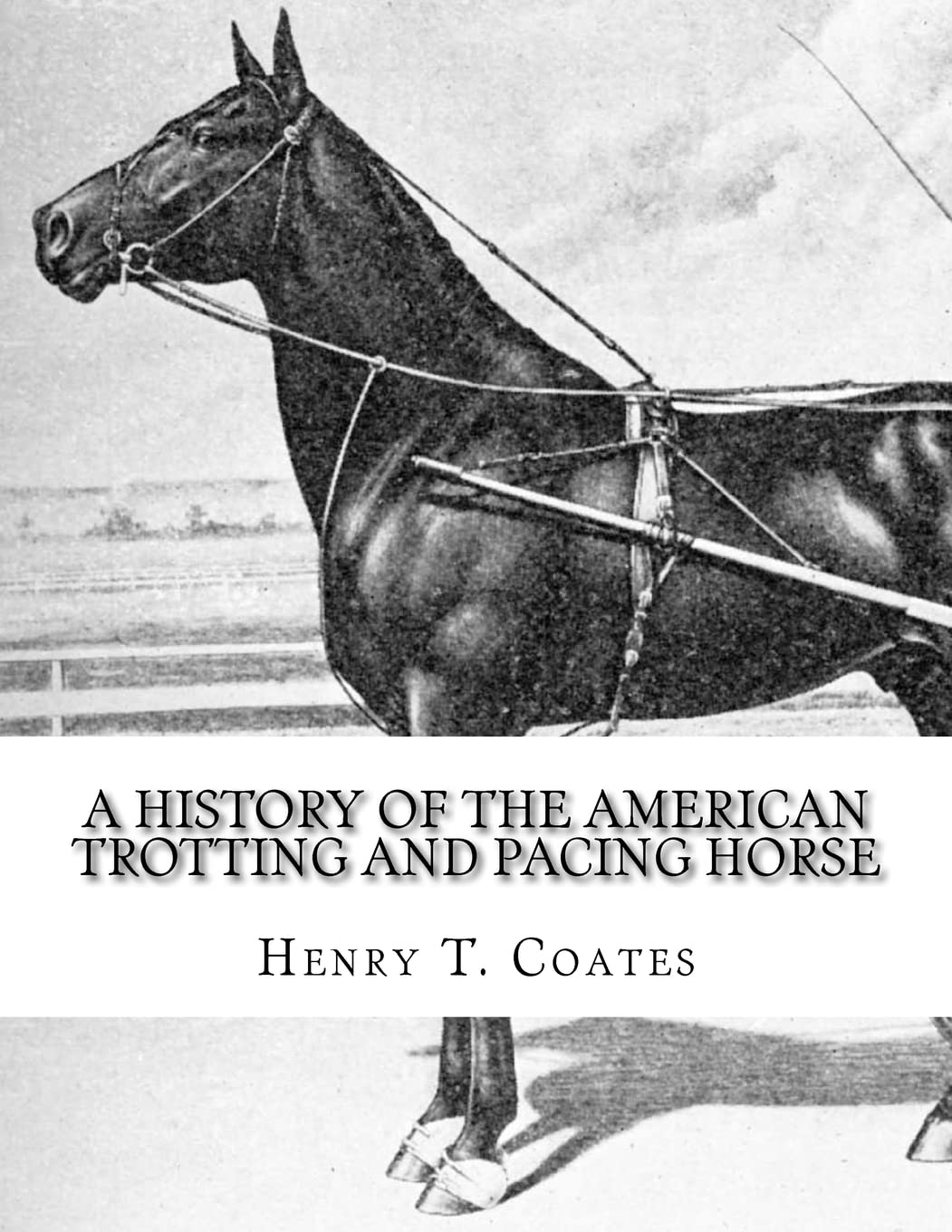 A History of the American Trotting and Pacing Horse: With Pedigrees of Famous Standardbred Horses, Useful Hints Leisure & Fun