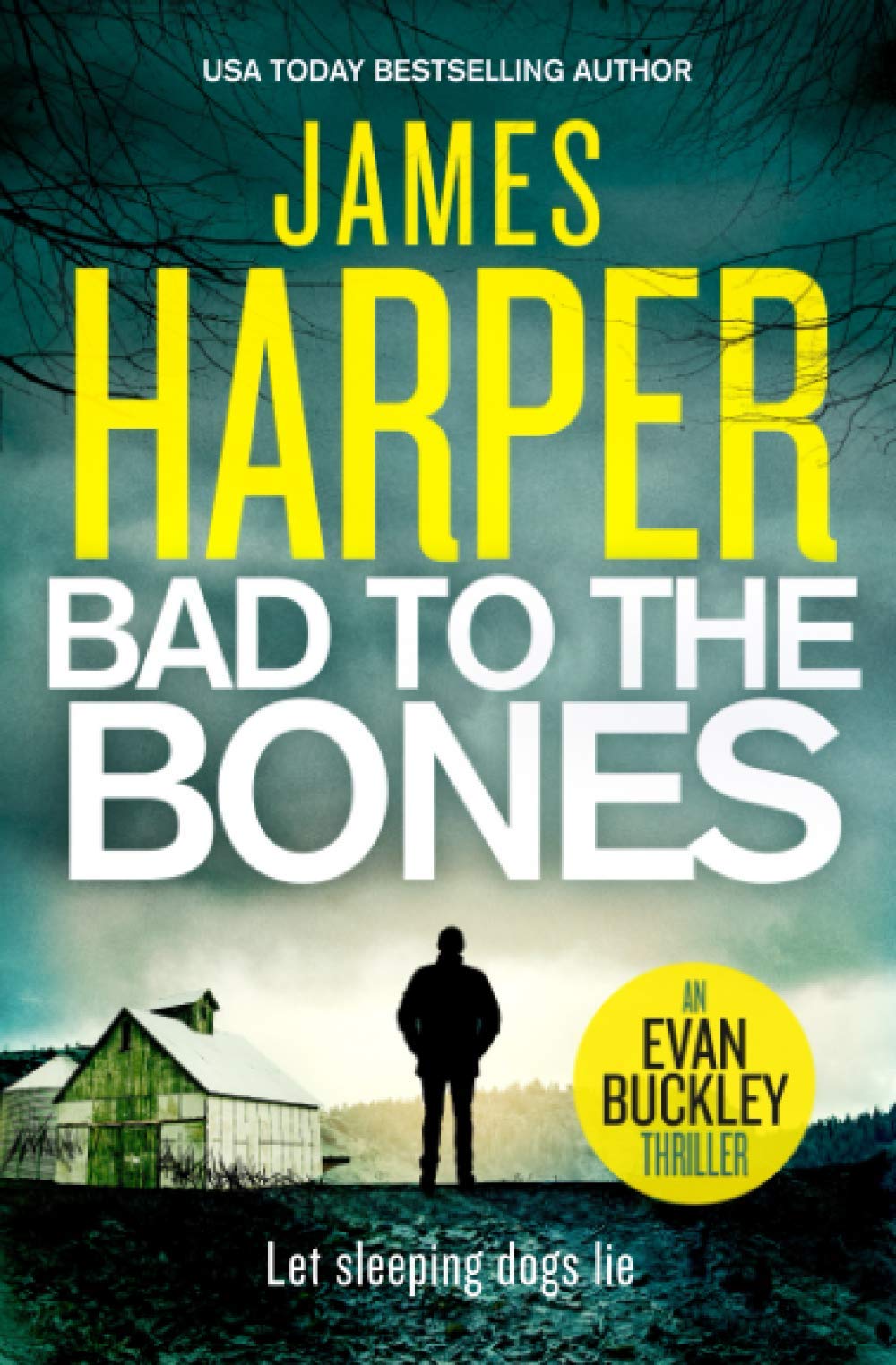 Bad To The Bones: An Evan Buckley Thriller (Evan Buckley Thrillers, Band 1) Detective & CSI