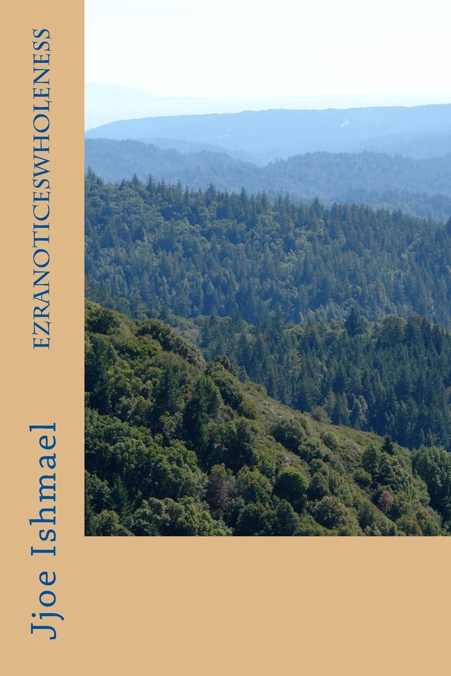 Product Image: Ezranoticeswholeness