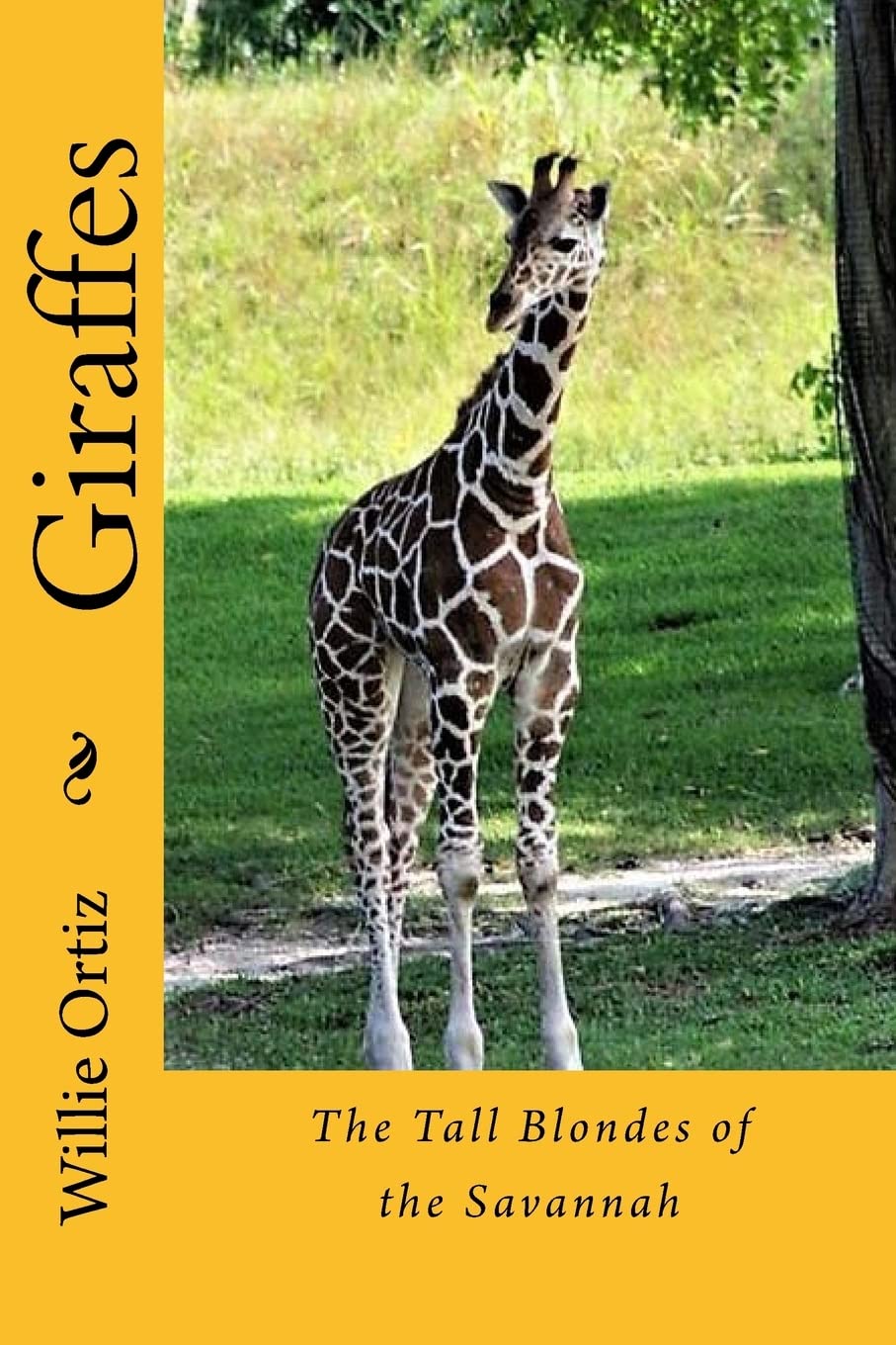 Giraffes: The Tall Blondes of the Savannah Mathematics