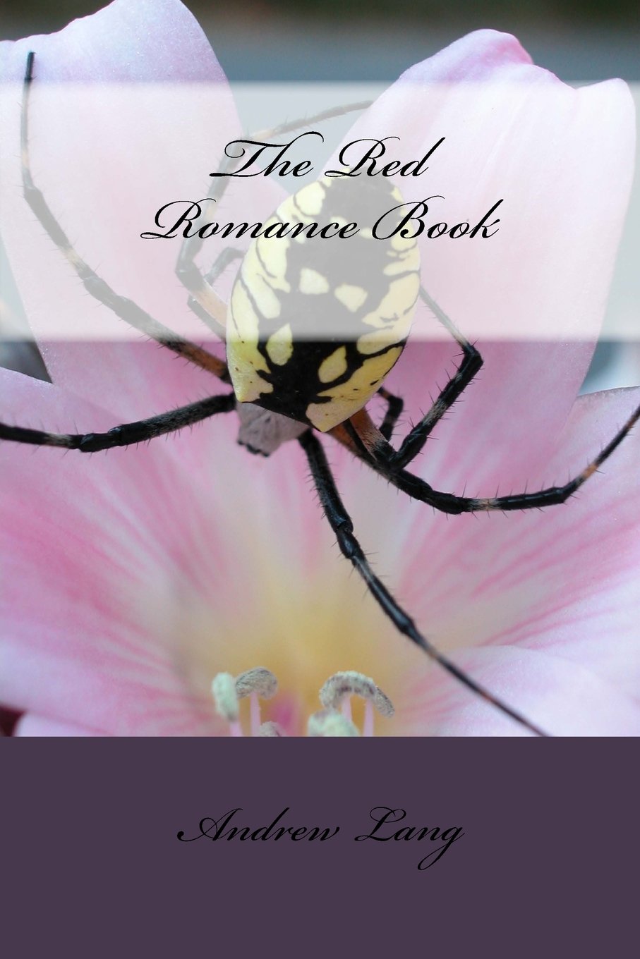 Product Image: The Red Romance Book