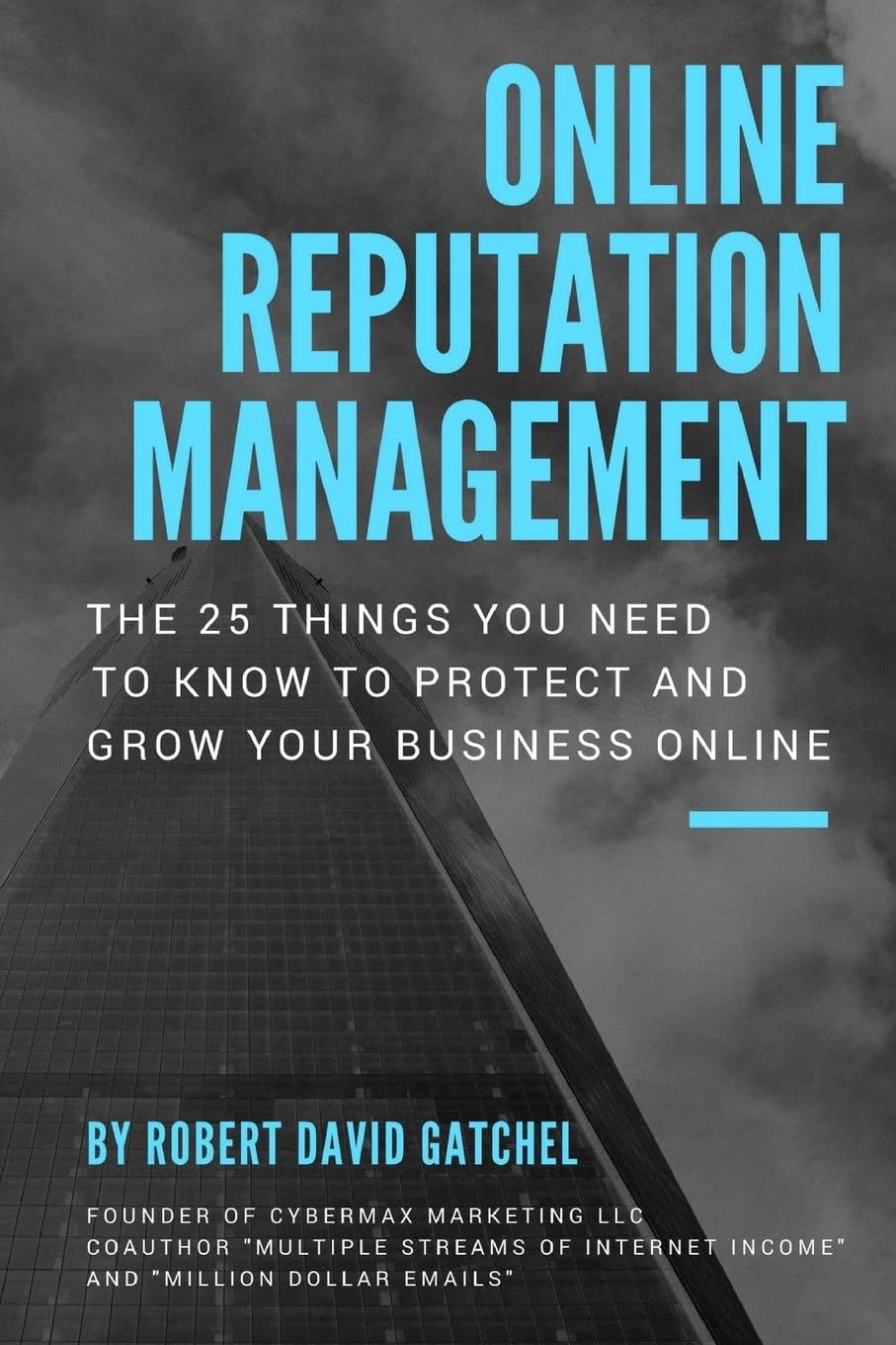 Online Reputation Management: The 25 Things You Need To Know To Protect & Grow Your Business Online book