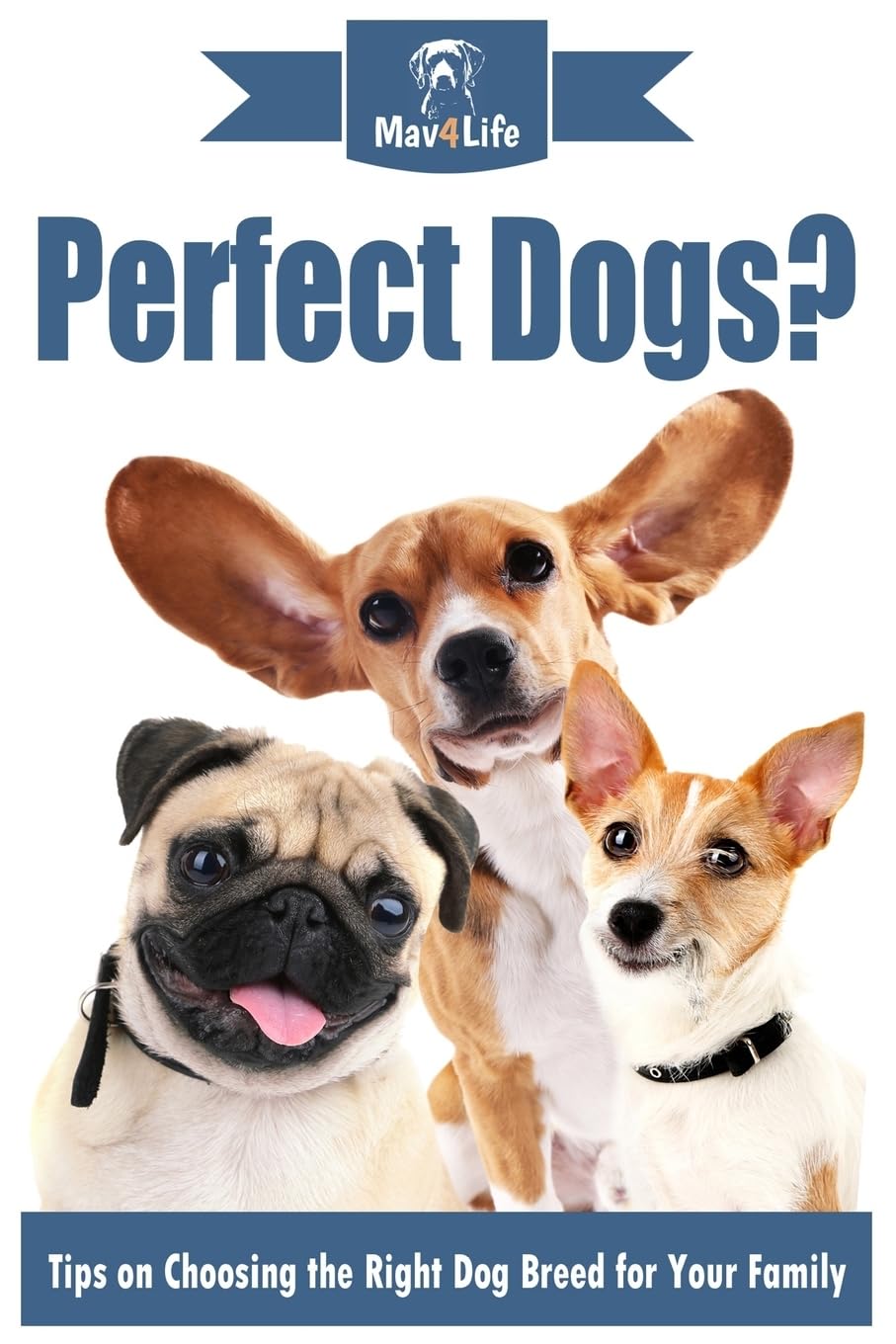 Perfect Dogs?: Tips on Choosing the Right Dog Breed for Your Family Pets