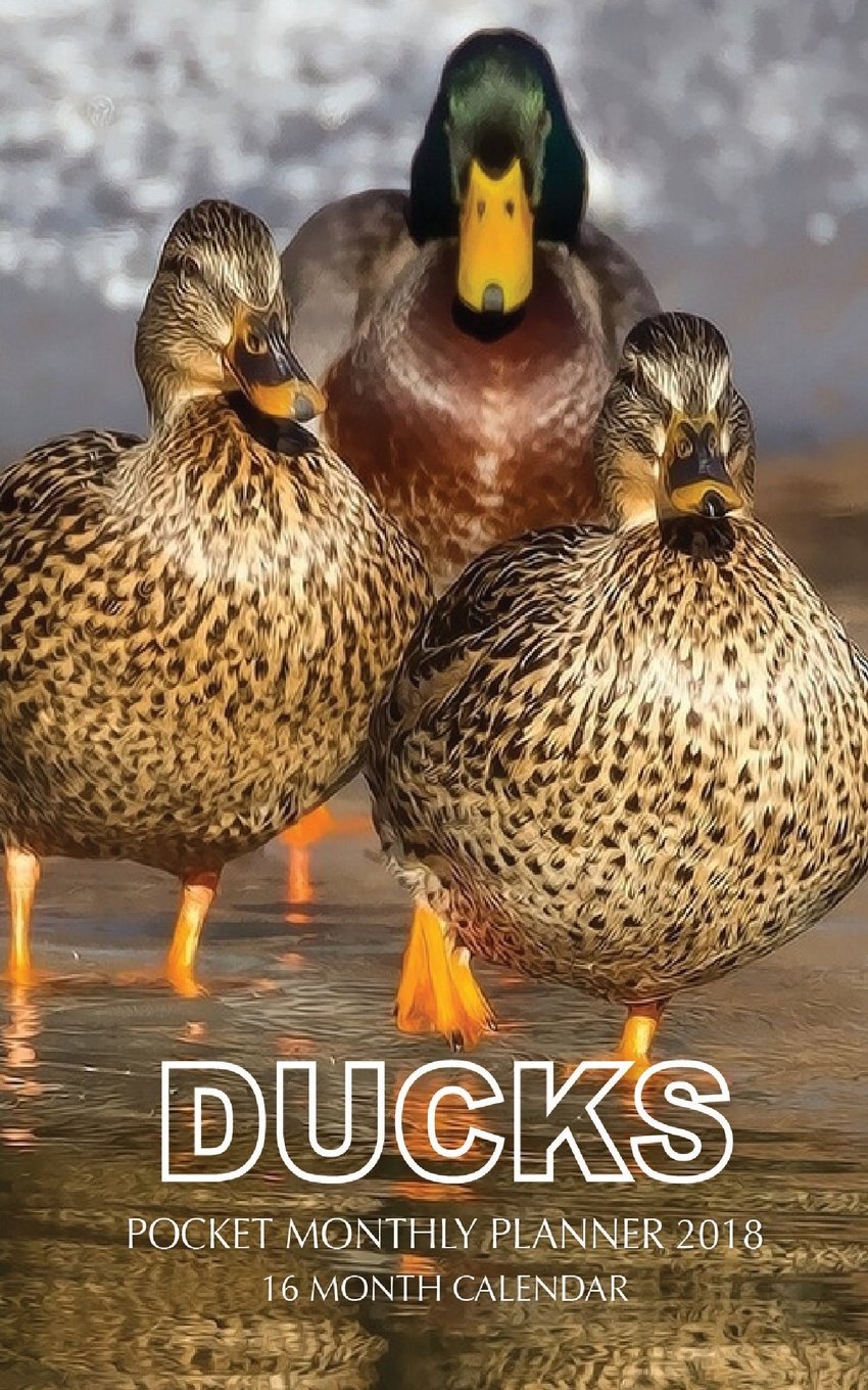 Ducks Pocket Monthly Planner 2018: 16 Month Calendar Mathematics