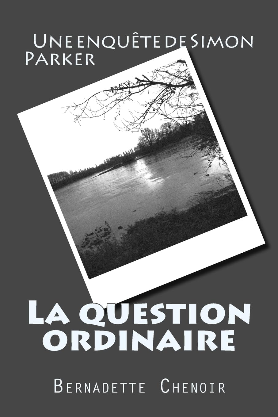 La question ordinaire: Une enquête de Simon Parker book
