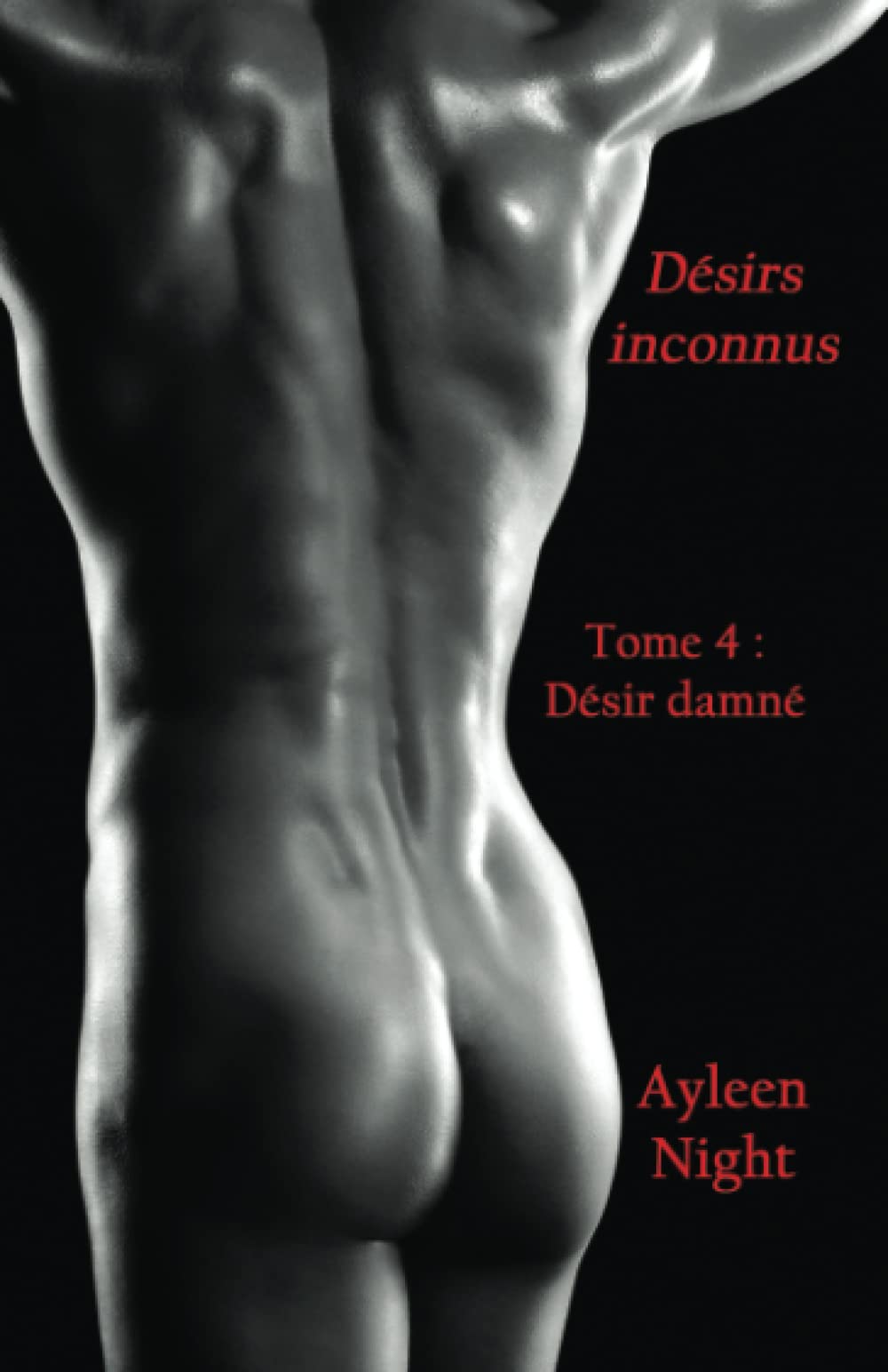 Désirs inconnus tome 4: Désir damné book