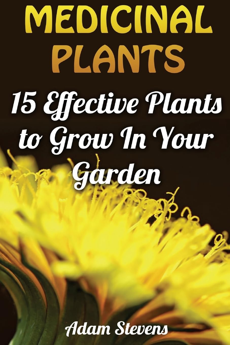 Medicinal Plants: 15 Effective Plants to Grow In Your Garden: (Medicinal Herbs, Herbs Growing) (Herbal Medicine) Garden & Plants