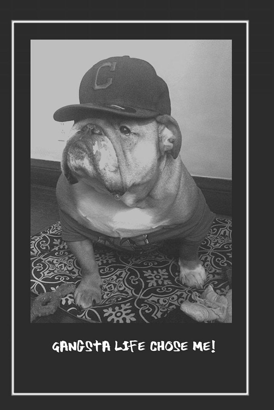 GANGSTA Life Chose Me!: Dog Lined Writing Notebook, featuring JAXSONthebulldog. Including funny and inspirational quote. For School, Office, or Home! (6 x 9”, 105 pages) Books