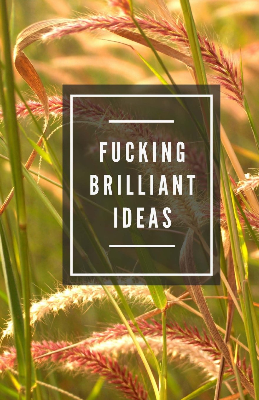 Fucking Brilliant Ideas (Notebook) Books
