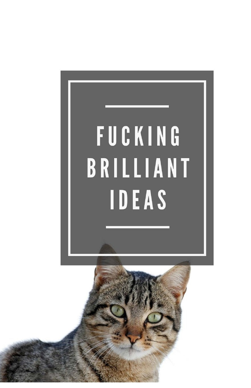 Fucking Brilliant Ideas (Notebook) Books
