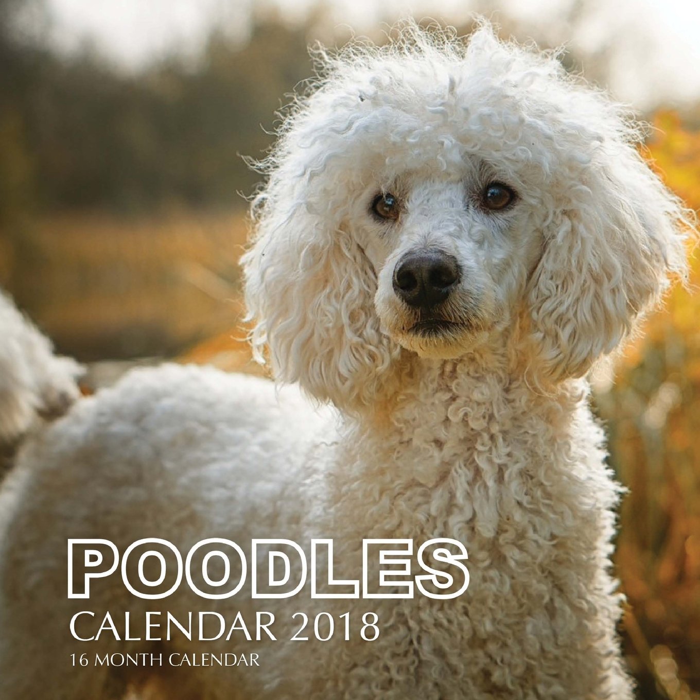 Poodles Calendar 2018: 16 Month Calendar book
