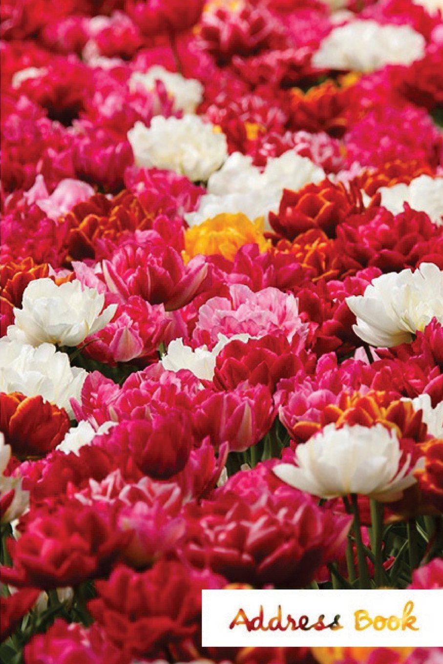 Address Book.: (Flower Edition Vol. B09) Glossy And Soft Cover, Large Print, Font, 6" x 9" For Contacts, Addresses, Phone Numbers, Emails, Birthday And More. Books