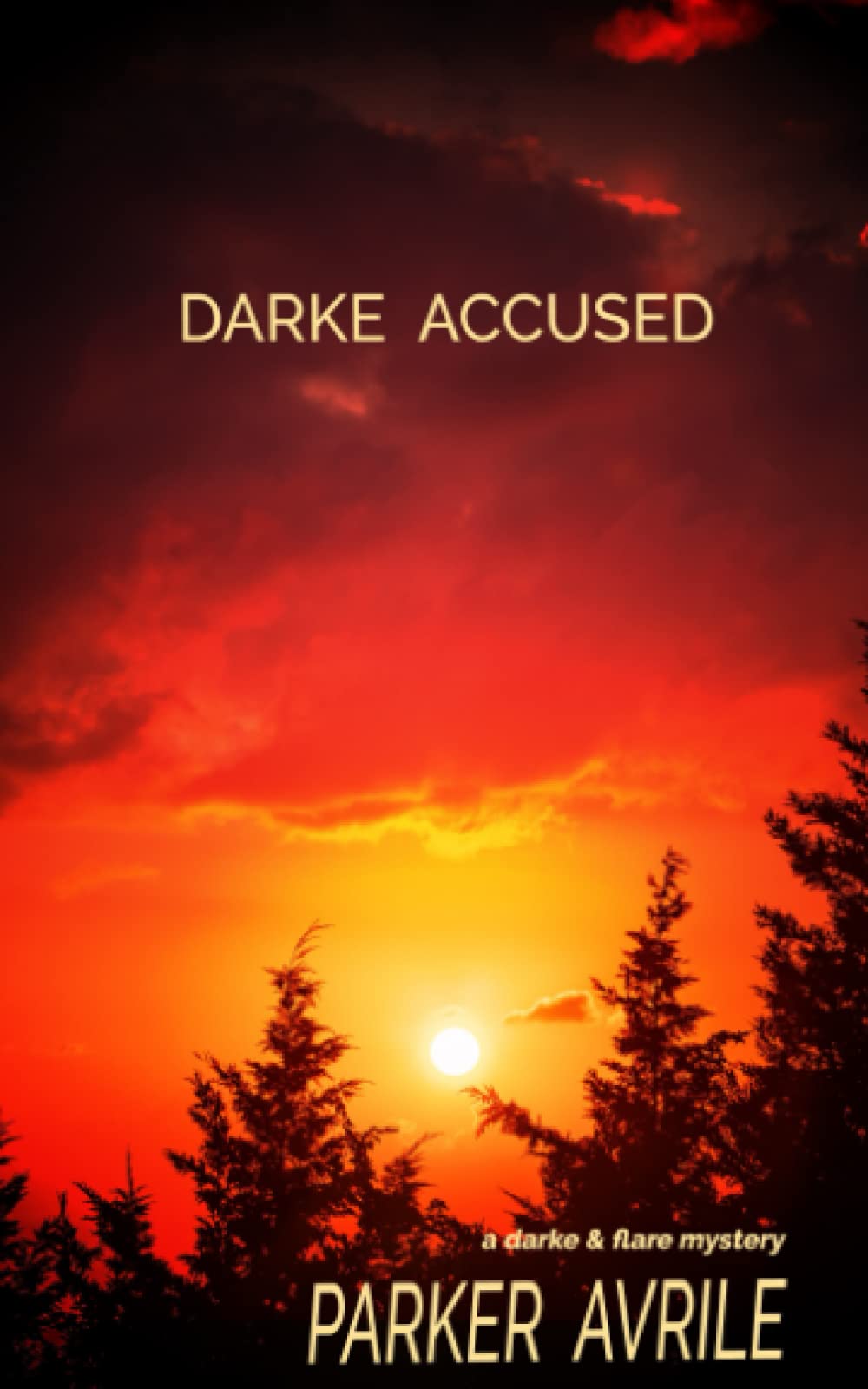 Darke Accused: A Darke and Flare Mystery LGBTQ+