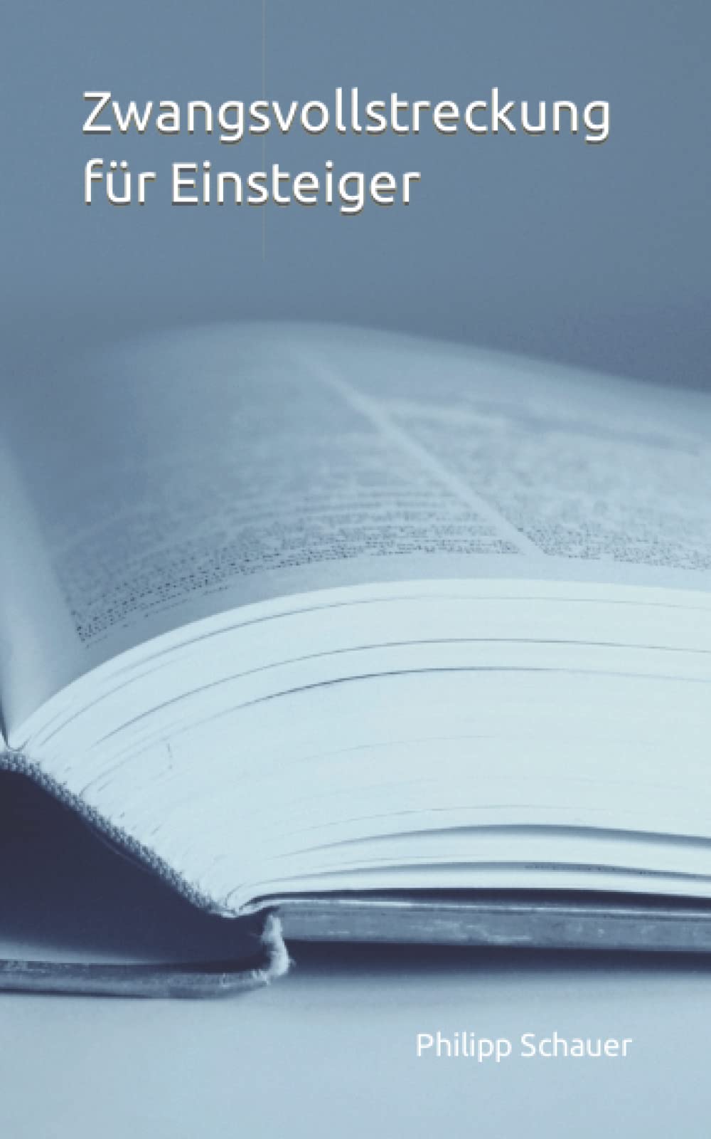 Zwangsvollstreckung für Einsteiger book