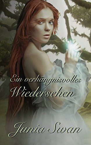 Ein verhängnisvolles Wiedersehen Contemporary literature