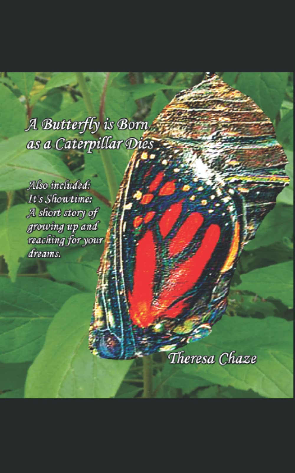 A Butterfly is Born as a Caterpillar Dies Contemporary literature