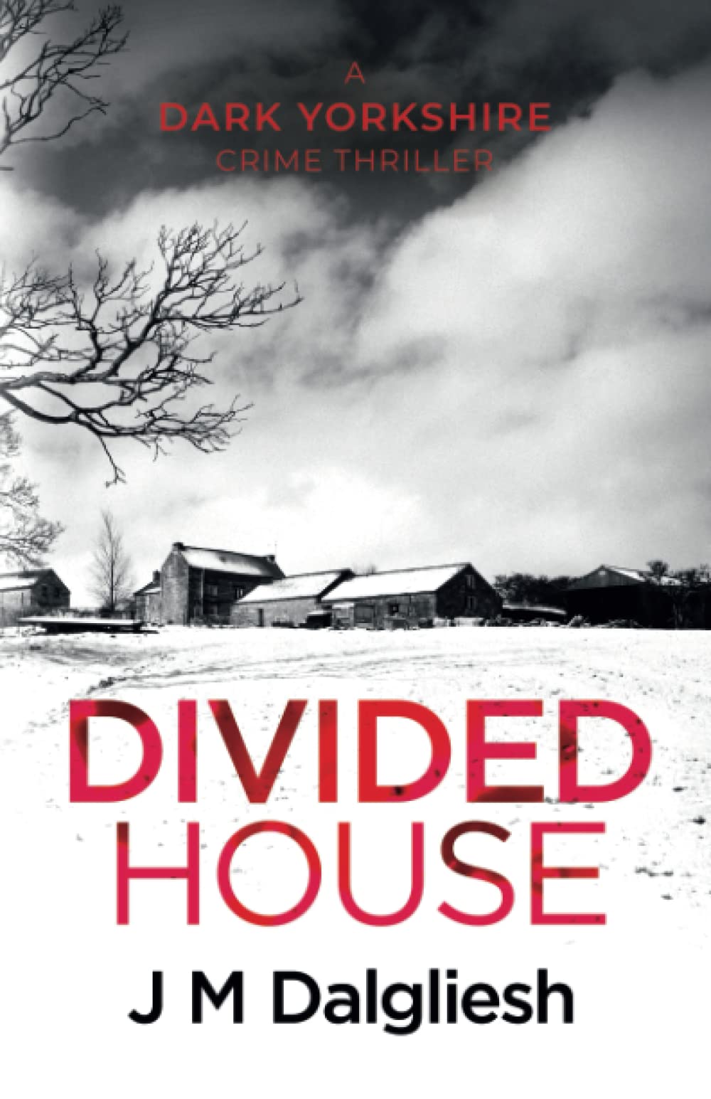 Divided House (The Dark Yorkshire Crime Thrillers, Band 1) Detective & CSI