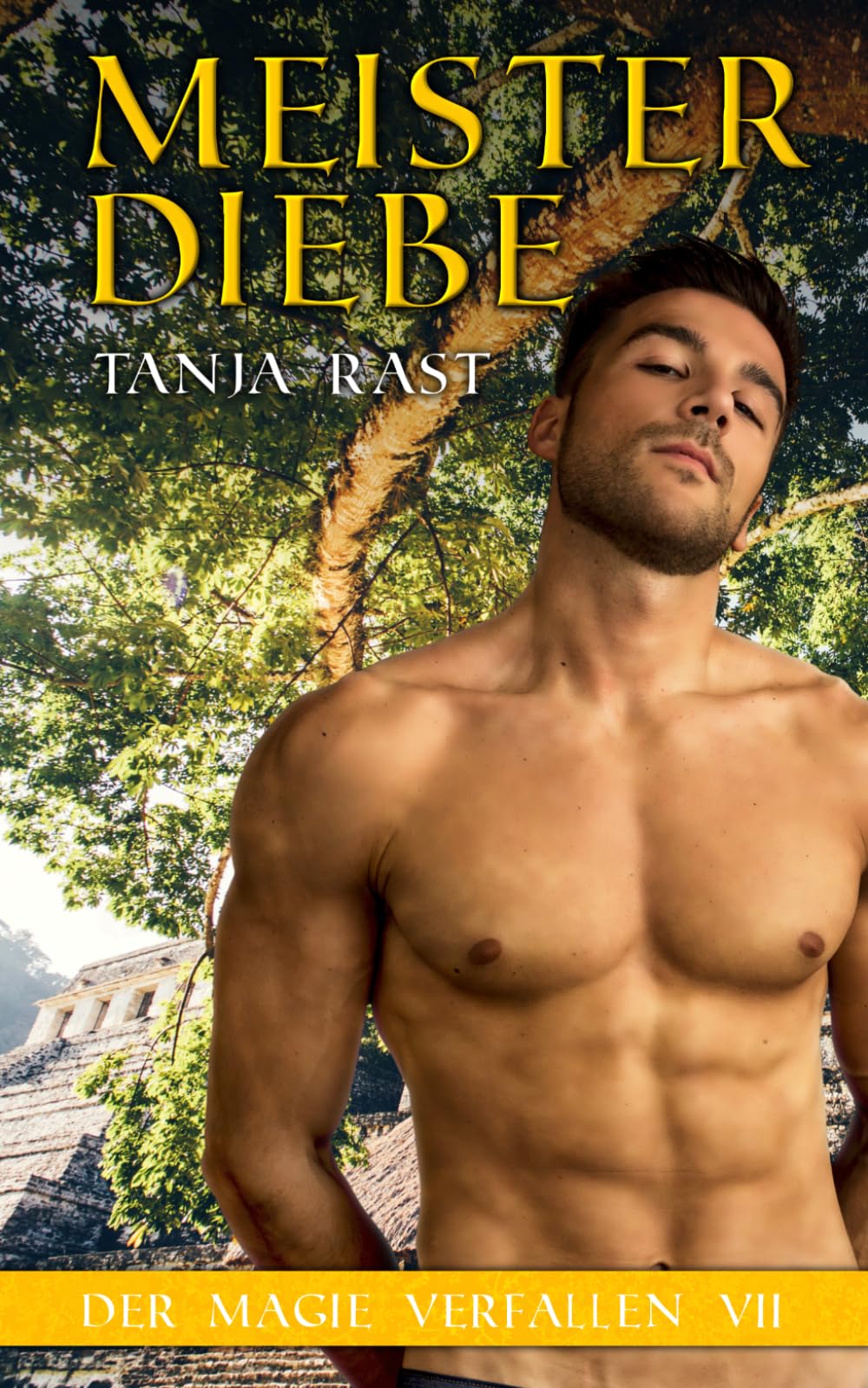 Meisterdiebe: Der Magie verfallen VII book