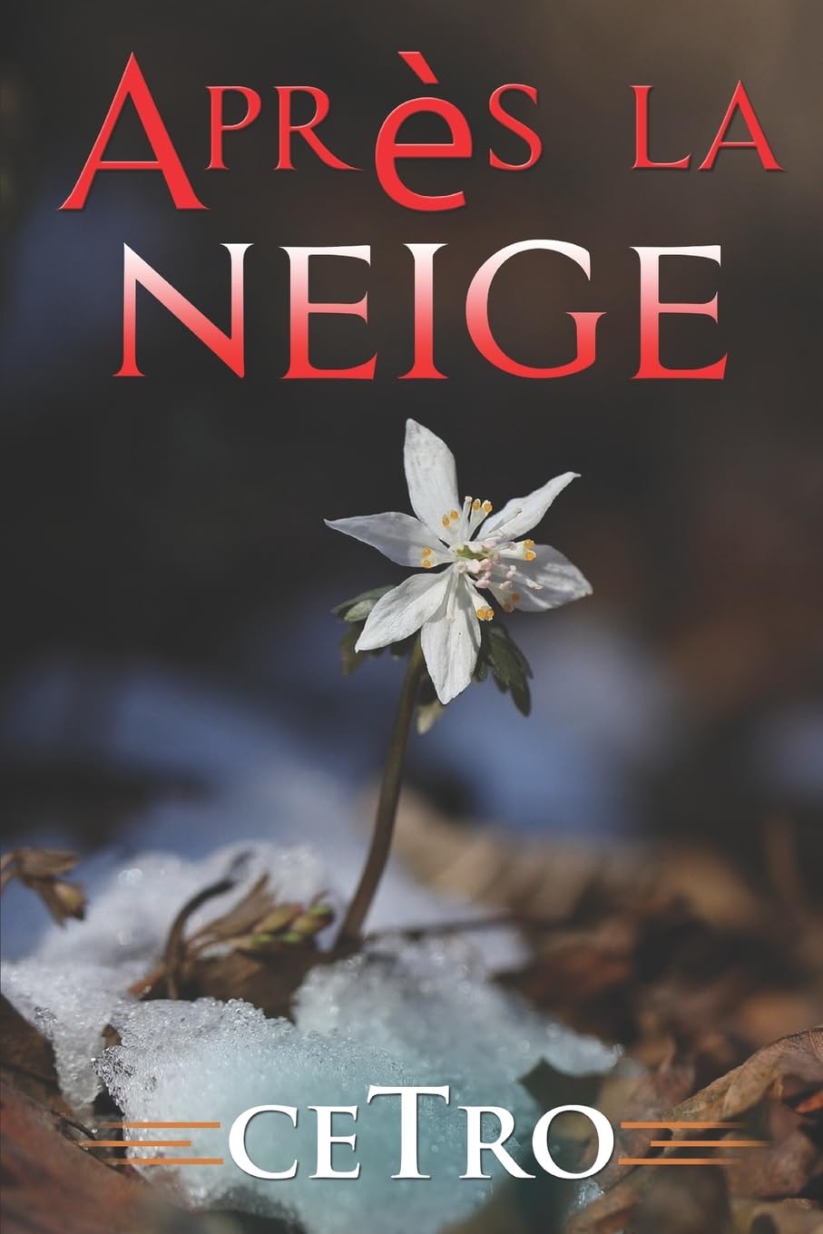 Après la neige Contemporary literature