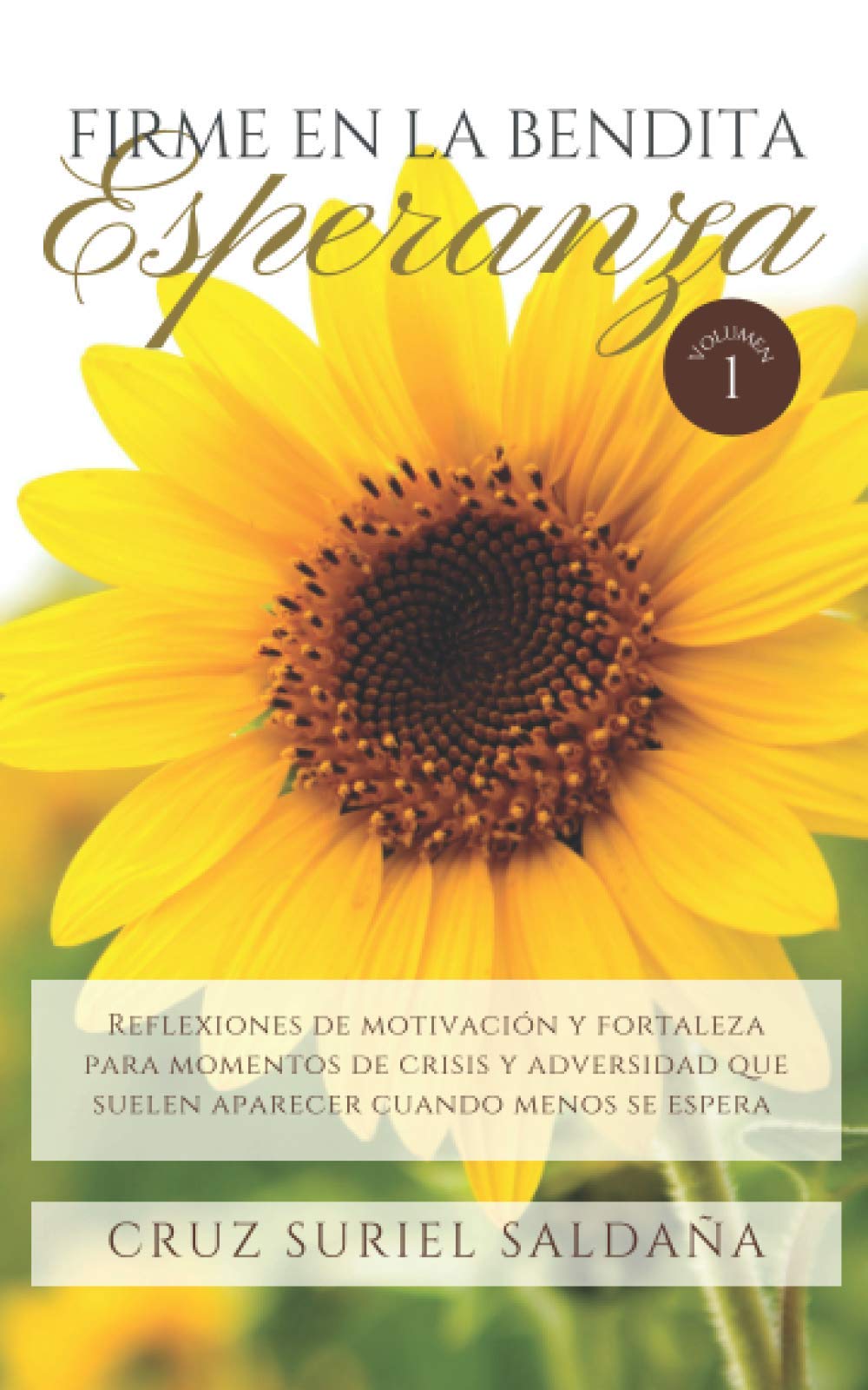 Firme en la bendita esperanza Religion & Esotericism
