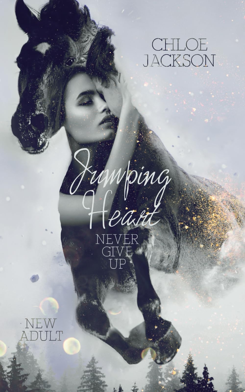 Product Image: Jumping Heart - Never give up